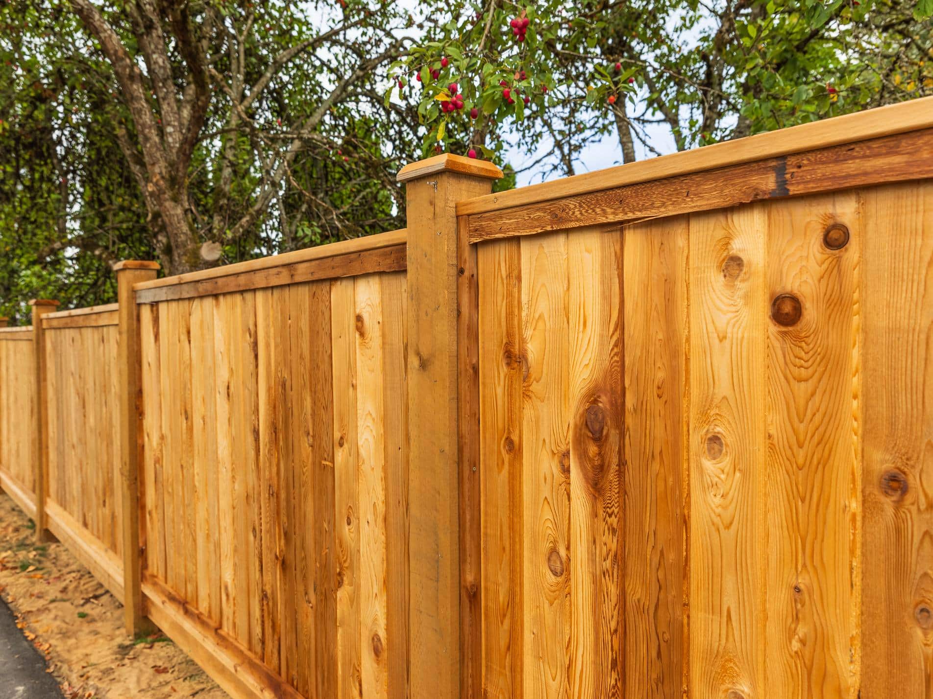 fence-spring-sale (1)